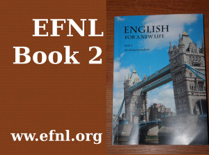 imagine_manualEFNL2_pt_mc